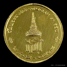 พระทองคำ เหรียญพระนาคปรก - สธ.