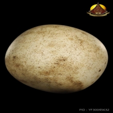 ลูกอมยุคต้น อ.เนตร วัดตุ๊กตา เนื้อผง ปี2500 สภาพสวย หายากมาก