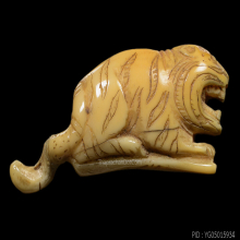 เขี้ยวเสือหลวงพ่อพัว วัดบางเดือน