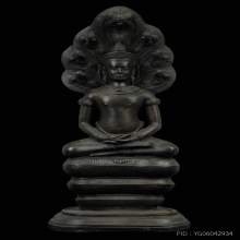 พระนาคปรก ภปร. วัดดอนศาลา 2530