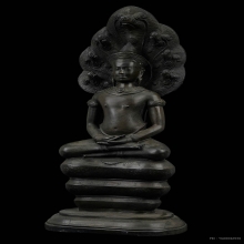 พระนาคปรก ภปร. วัดดอนศาลา 2530