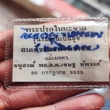 ปรกใบมะขามหลวงปู่ขาวเนื้อเงิน