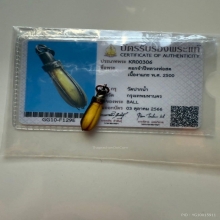งาจำปีหลวงพ่อสดพร้อมบัตรสมาคม