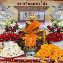 เซียนแปะโค้ว หัวตะเข้
