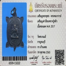 เหรียญเต่าเล็ก รุ่นแรก หลวงปู่หลิว วัดสนามแย้ ปี 2517 ที่1