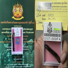 >>>..,ปลัดขิกหลวงพ่อโสก วัดปากคลองฯ ไม้กัลปังหา ที่4