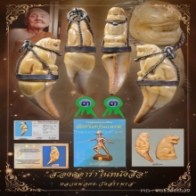 “เสือองค์ดาราในหนังสือ“หลวงพ่อคง วังสรรพรส(ติดรางวัล2งาน)
