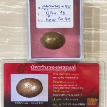 +บัตรหมีพูห์ปู่ทิม ลูกอมผงพรายกุมาร หลวงปู่ทิม