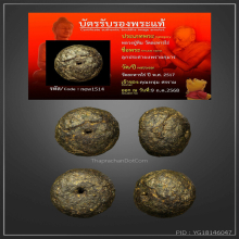 +บัตรหมีพูห์ปู่ทิม เม็ดประคำผงพรายกุมาร หลวงปู่ทิม