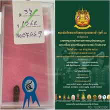 พระปกใบมะขาม องค์จ้อย หลวงปู่ทิม วัดละหารไร่ ระยอง