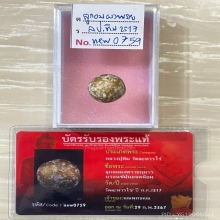+บัตรหมีพูห์ปู่ทิม ลูกอมบร็อนซ์ผงพรายกุมาร หลวงปู่ทิม