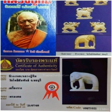 ช้าง หลวงปู่ทิมวัดละหารไร่ แชมป์ๆๆ