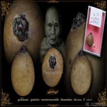 พระอาจารย์นำ วัดดอนศาลา