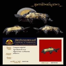 หลุดมัดจำ วัวธนู หลวงปู่สังข์ วัดนากันตรม