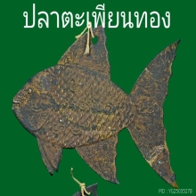 ปลาตะเพียนเงิน-ตะเพียนทอง หลวงพ่อเต๋ คงทอง วัดสามง่าม 