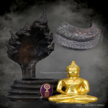 พระบูชาพระนาคปรก ๒ ถอด