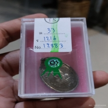 เหรียญไข่หลังพัดยศ เนื้อเงิน หลวงปู่โต๊ะ ปี 2518