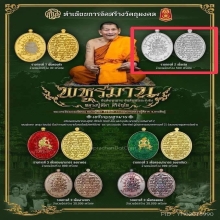 พหูรมาน เนื้อเงิน 1 ใน 500 เหรียญ
