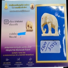 ช้างวัดโพธิสัมพันธ์