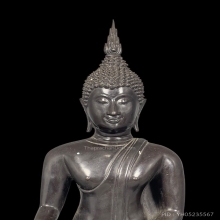พระพุทธสาลวิสัยมงคล ภปร