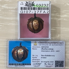 +บัตรสมาคม เบี้ยแก้หลวงพ่อนุ่ม วัดนางใน