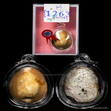 เบี้ยแก้หลวงพ่อซำ วัดตลาดใหม่ อ่างทอง 
