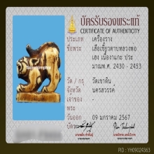 เสือเขี้ยวดาบหลวงพ่อเฮง วัดเขาดิน จ.นครสวรรค์
