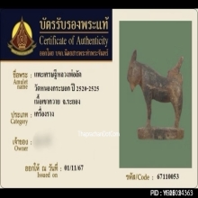 แพะเศรษฐีหลวงพ่อลัด วัดหนองกระบอก จ.ระยอง เนื้อเขาควายแกะ
