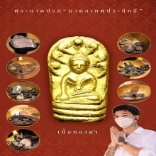 พระนาคปรกใบมะขาม มงคลเทพประสิทธิ์ เนื้อทองคํา