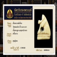 เสือหลวงพ่อเรือน วัดคลองด่าน (วัดบางเหี้ย)   (บัตรรับรอง)