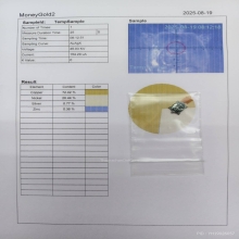เต่าจิ๋วเนื้อเงิน บางเปิดโลก หลวงปู่หลิว วัดไร่แตงทอง