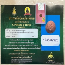 ติดที่2สมาคม ลูกอมผงยาจินดามณี หลวงปู่เพิ่ม วัดกลางบางแก้ว
