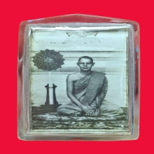 รูปถ่ายข้างโบสถ์หลวงพ่อแพ วัดพิกุลทอง