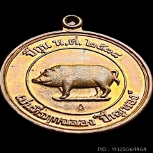 เหรียญหมูมหาลาภ เหรียญที่ระลึก “ปีหมูทอง” ปี พ.ศ 2538