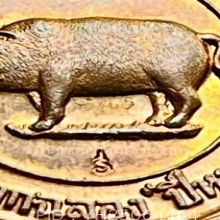 เหรียญหมูมหาลาภ เหรียญที่ระลึก “ปีหมูทอง” ปี พ.ศ 2538