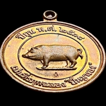เหรียญหมูมหาลาภ เหรียญที่ระลึก “ปีหมูทอง” ปี พ.ศ 2538