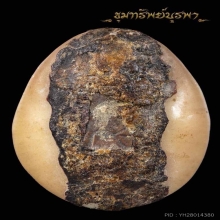เบี้ยแก้ หลวงปู่คำ วัดโพธิ์ปล้ำ