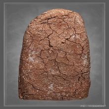 พระผงรุ่นแรก หลวงปู่สุข วัดโพธิ์ทรายทอง เนื้อว่านสบู่เลือด 