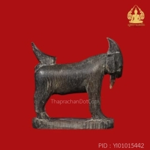 แพะ หลวงพ่ออ่ำ วัดหนองกระบอก