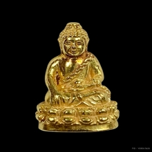 พระทองคำ กริ่งปุ้มปุ้ย 