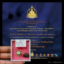 พุงป่องในนาน หลวงปู่ศุขวัดปากคลองมะขามเฒ่า 