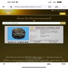 ตะกรุดไม้ครู หลวงปู่จันทร์ วัดนางหนู