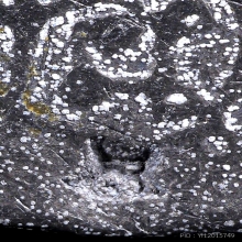 พระปิดตาข้าวตอกแตก ปี19 เนื้อตะกั่ว