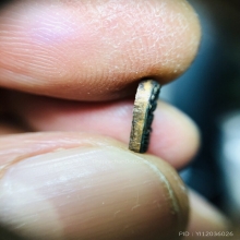 พระปรกมะขาม หลวงปู่เริ่ม วัดจุกกะเฌอ