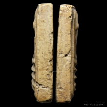 +บัตรสมาคม สมเด็จพิมพ์เส้นด้าย หลวงปู่ลำภู กรุต้นโพธิ์