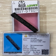 +บัตรสมาคม ตะกรุดจันทร์เพ็ญ หลวงปู่ศุข วัดปาก คลองมะขามเฒ่า