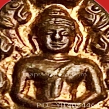 นาคปรกใบมะขามหลวงพ่อคง วัดวังสรรพรส รุ่นแรก คงสวัสดี ปี 2530