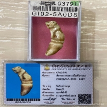 +บัตรสมาคม เขี้ยวแกะ เสือหลวงพ่อคง วัดวังสรรพรส