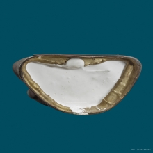 +บัตรสมาคม พระบูชาหลวงพ่อสด วัดปากน้ำ สร้าง ปี2514