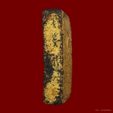 สิงห์ป้อนเหยื่อ